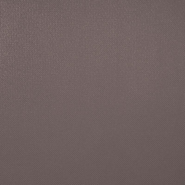 Alessandro Allori Rebecca 15001-6