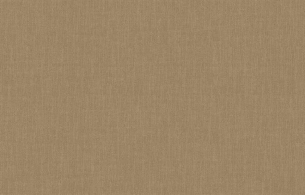 Loymina Shade SD2 012_3