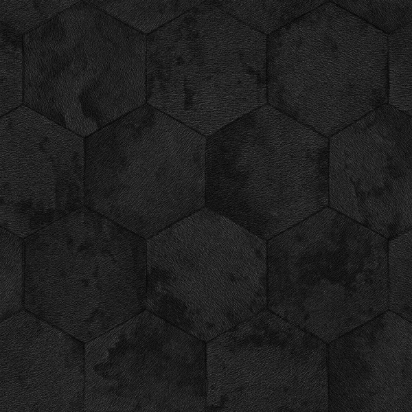 Zambaiti Parati Philipp Plein Z 81025