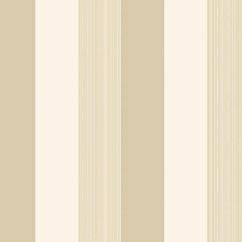 Andrea Rossi Gallinara 54313-3