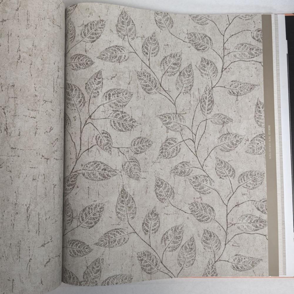 Andrea Rossi Berggi 54441-5