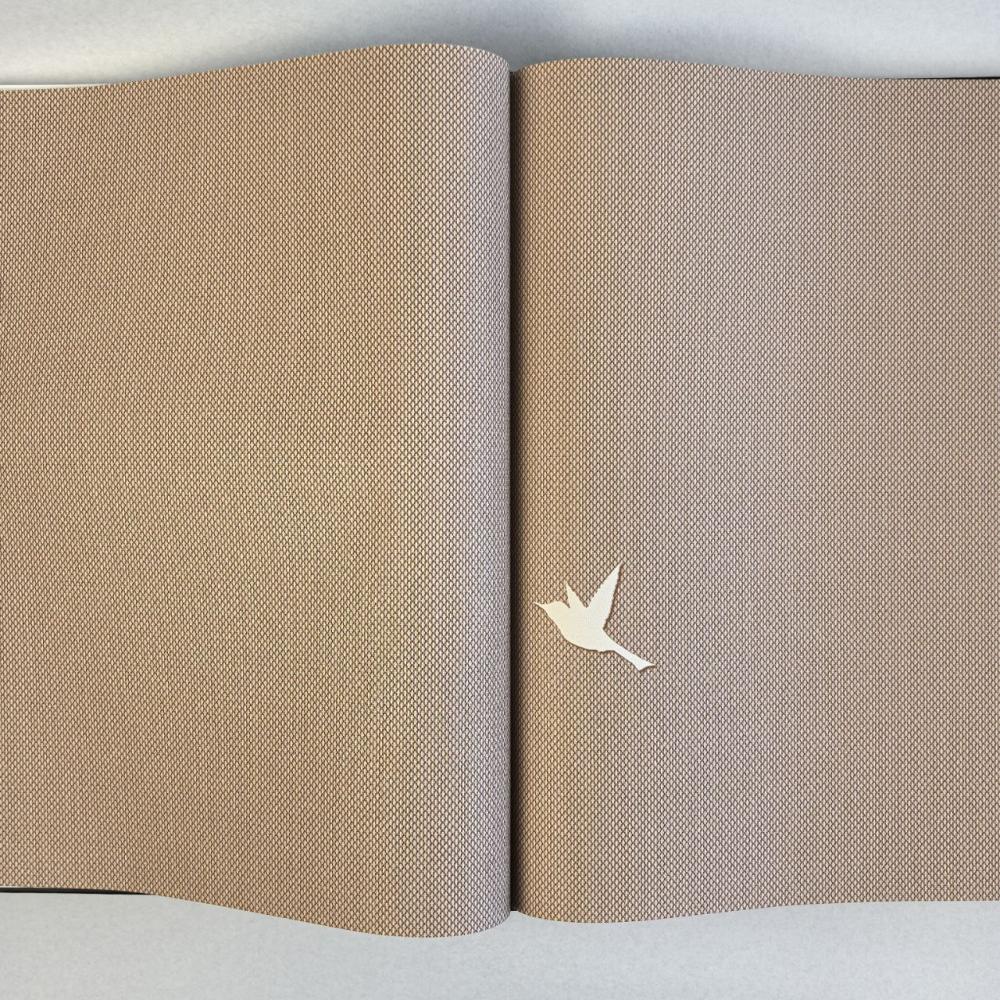 Andrea Rossi Spectrum Box 54457-13