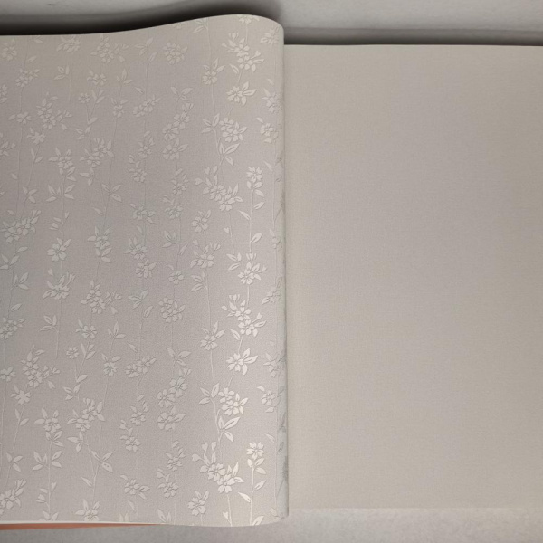 Andrea Rossi Berggi 54450-1