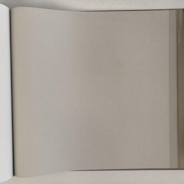 Alessandro Allori Bruni RBN 1004-5 Alessandro Allori Bruni RBN 1004-5