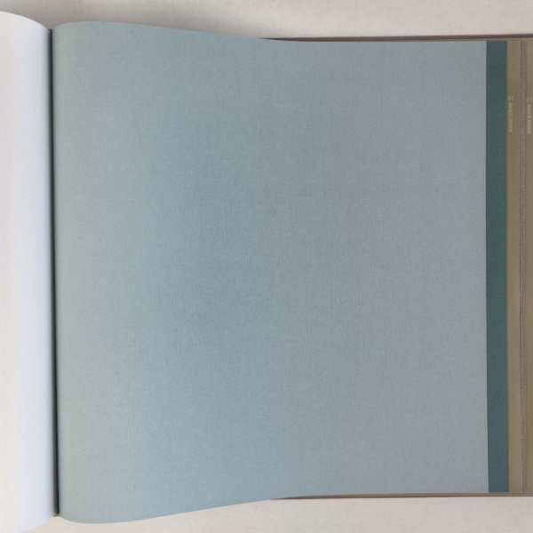 Alessandro Allori Bruni RBN 1004-13 Alessandro Allori Bruni RBN 1004-13