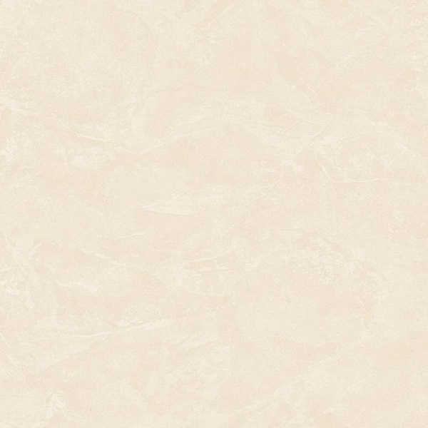 Zambaiti Parati Philipp Plein Z 81011