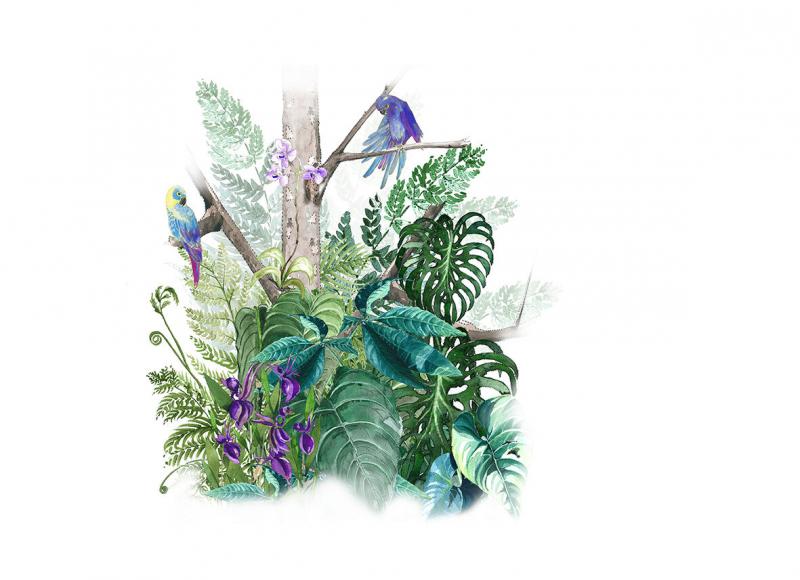 Marburg Bombay 2 30161