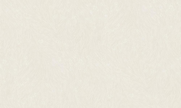 Studio Italia Collection Tesoro TS 10016