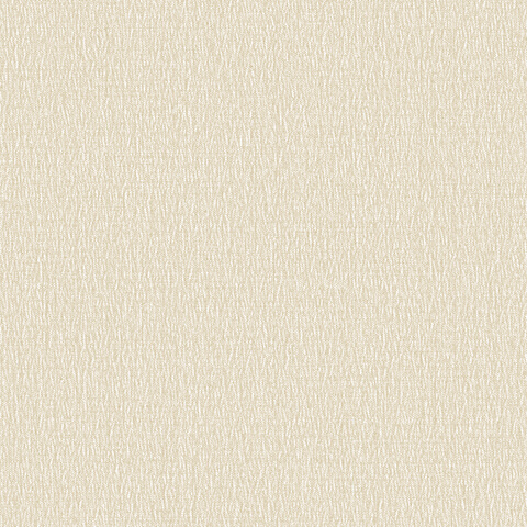 Andrea Rossi Barbana 54285-3