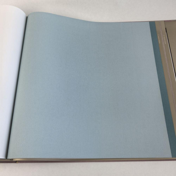 Alessandro Allori Bruni RBN 1004-13 Alessandro Allori Bruni RBN 1004-13