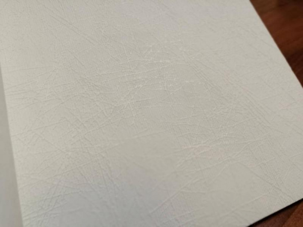 Antivandal 5730-18 (3010-011)