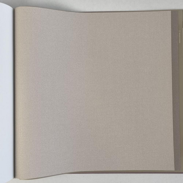 Alessandro Allori Bruni RBN 1005-7 Alessandro Allori Bruni RBN 1005-7