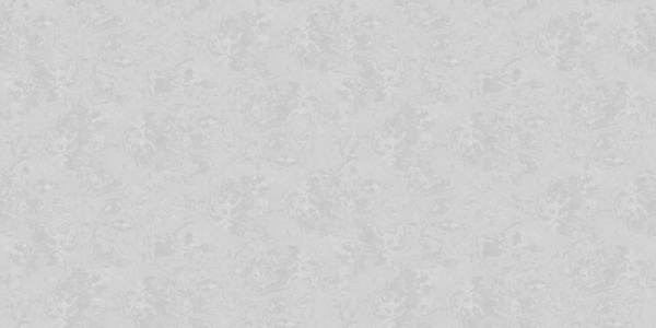 A. Grifoni Palazzo Ragione 7025-5